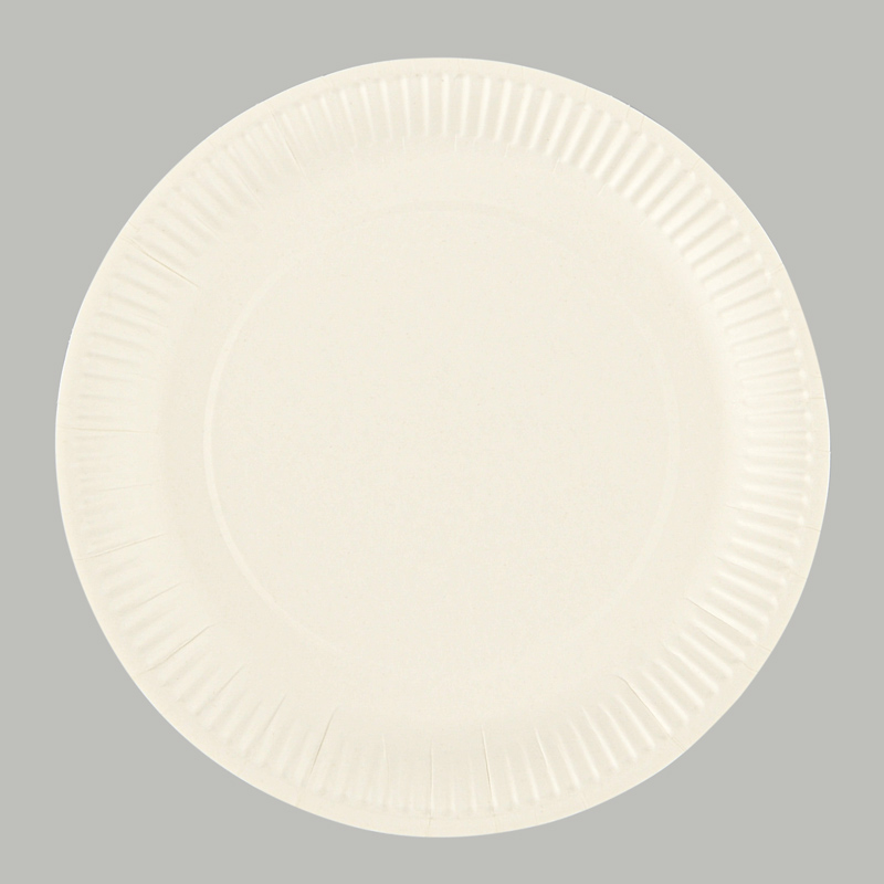 Lot De 100 Assiettes En Carton Blanc Blanc En Carton Lincroyable